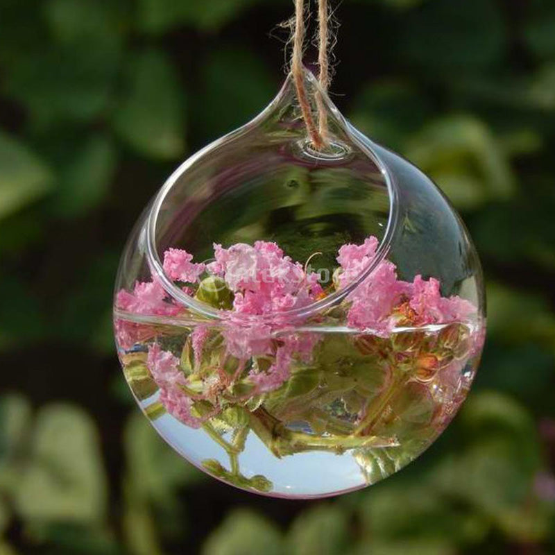 Terrarium Ball Globe Shape Vase