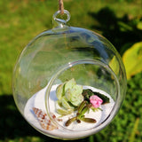 Terrarium Ball Globe Shape Vase