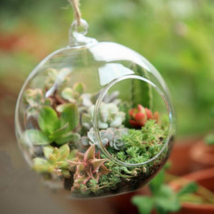 Terrarium Ball Globe Shape Vase