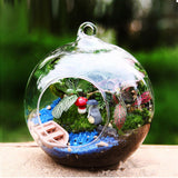 Terrarium Ball Globe Shape Vase