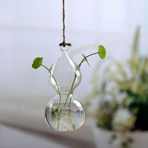 Flower Hanging Vase