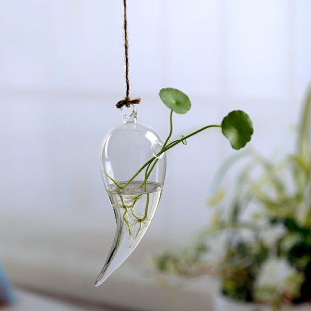 Flower Hanging Vase