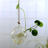 Flower Hanging Vase