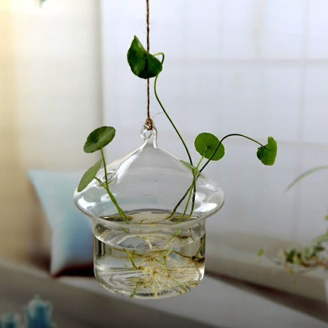 Flower Hanging Vase