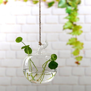 Flower Hanging Vase