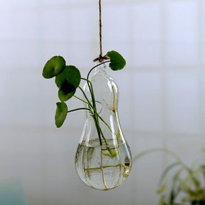 Flower Hanging Vase