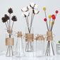 Creative Nordic Glass Vases