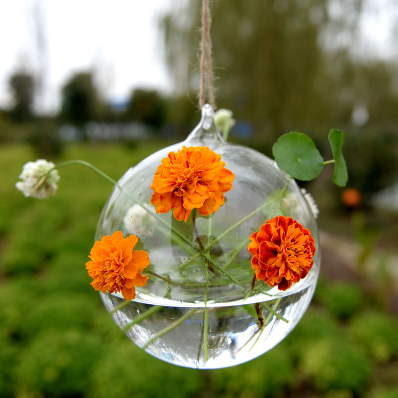 Fashion Glass Flower Hanging Vase