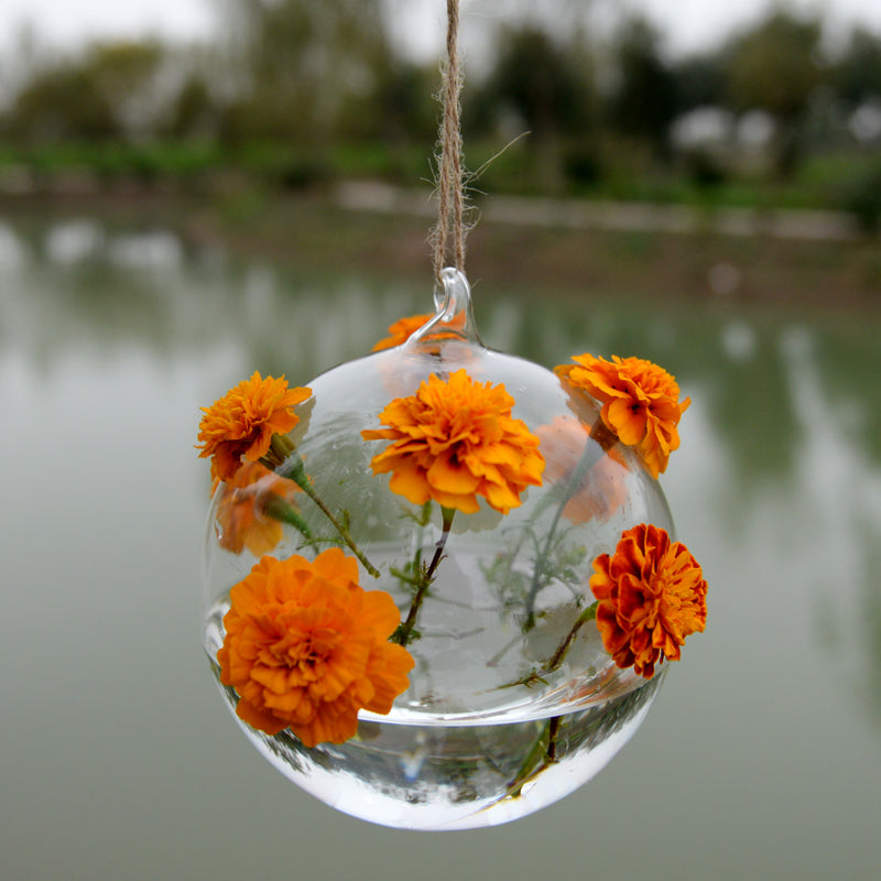 Fashion Glass Flower Hanging Vase