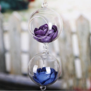 Creative Clear Ball Hanging Glass Vase