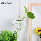 Hanging Glass Ball Vase