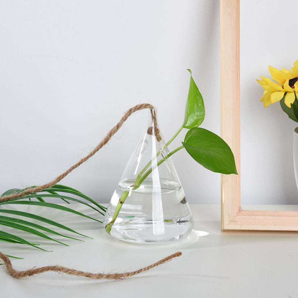 Hanging Glass Ball Vase