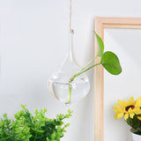 Hanging Glass Ball Vase