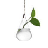 Hanging Glass Ball Vase