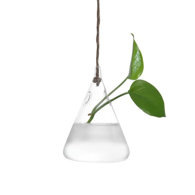 Hanging Glass Ball Vase