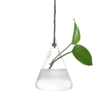 Hanging Glass Ball Vase