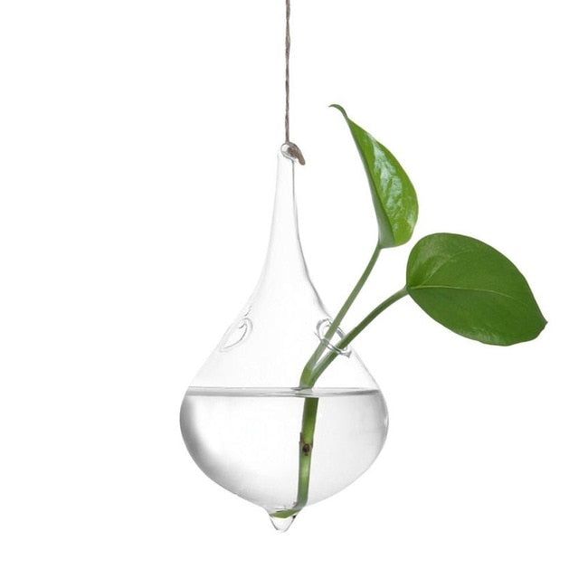 Hanging Glass Ball Vase