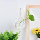 Hanging Glass Ball Vase