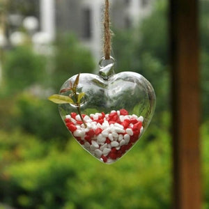 Clear Heart Glass Hanging Vase