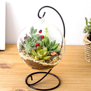 Round Ball Hanging Glass Vase