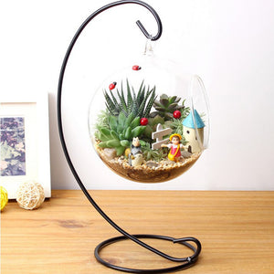 Round Ball Hanging Glass Vase