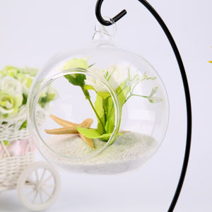 Round Ball Hanging Glass Vase