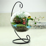 Round Ball Hanging Glass Vase