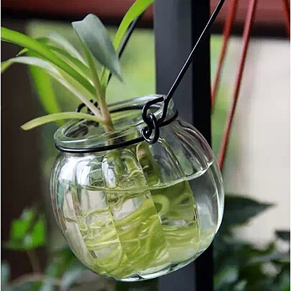 Hanging Glass Vase