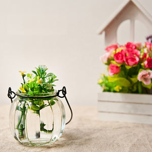 Hanging Glass Vase