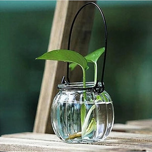 Hanging Glass Vase