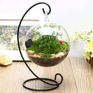 Terrarium Ball  Vase