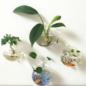 Glass Hanging Vase