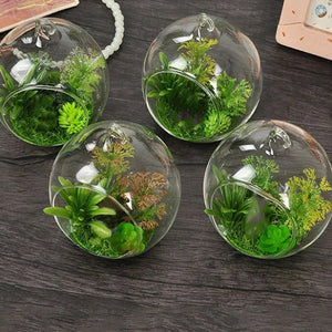 Ball Shape Hanging Glass Vase