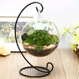 Ball Shape Hanging Glass Vase